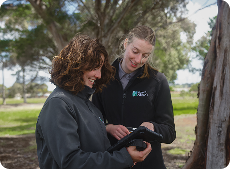 Professional development opportunities