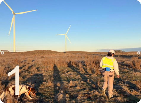 ImageWithFallback (5)