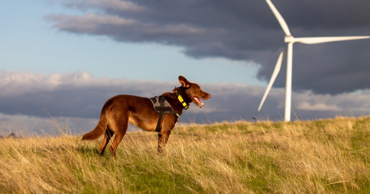 Casey Green – 96-166 Centre Road, Narre Warren, Victoria