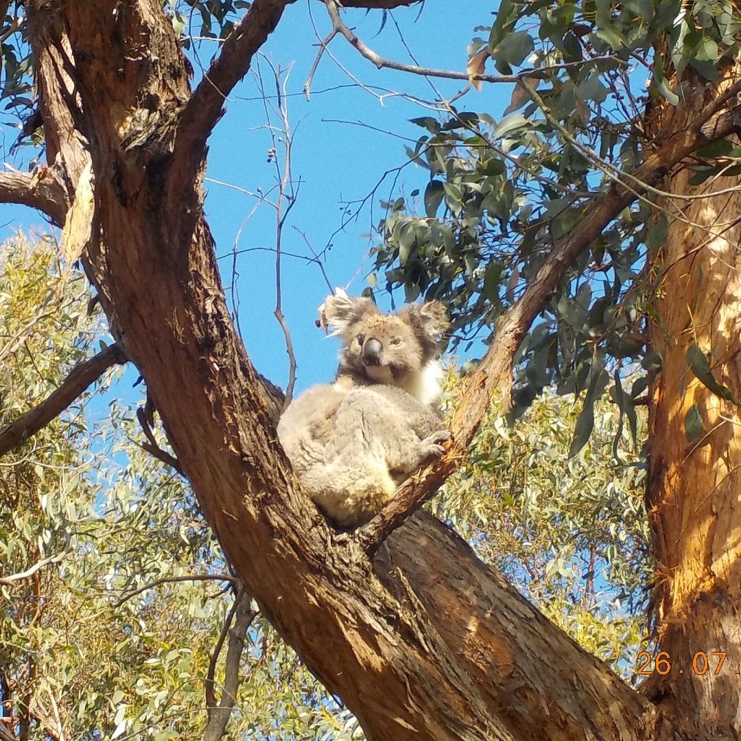 French Island Offset Site