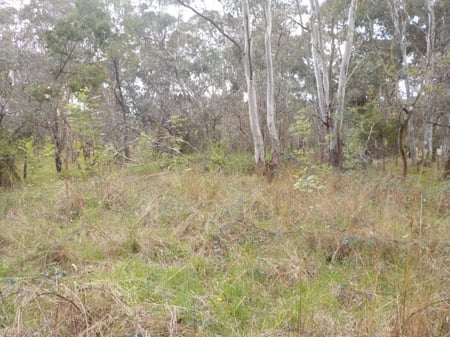 north-east-link-project-image