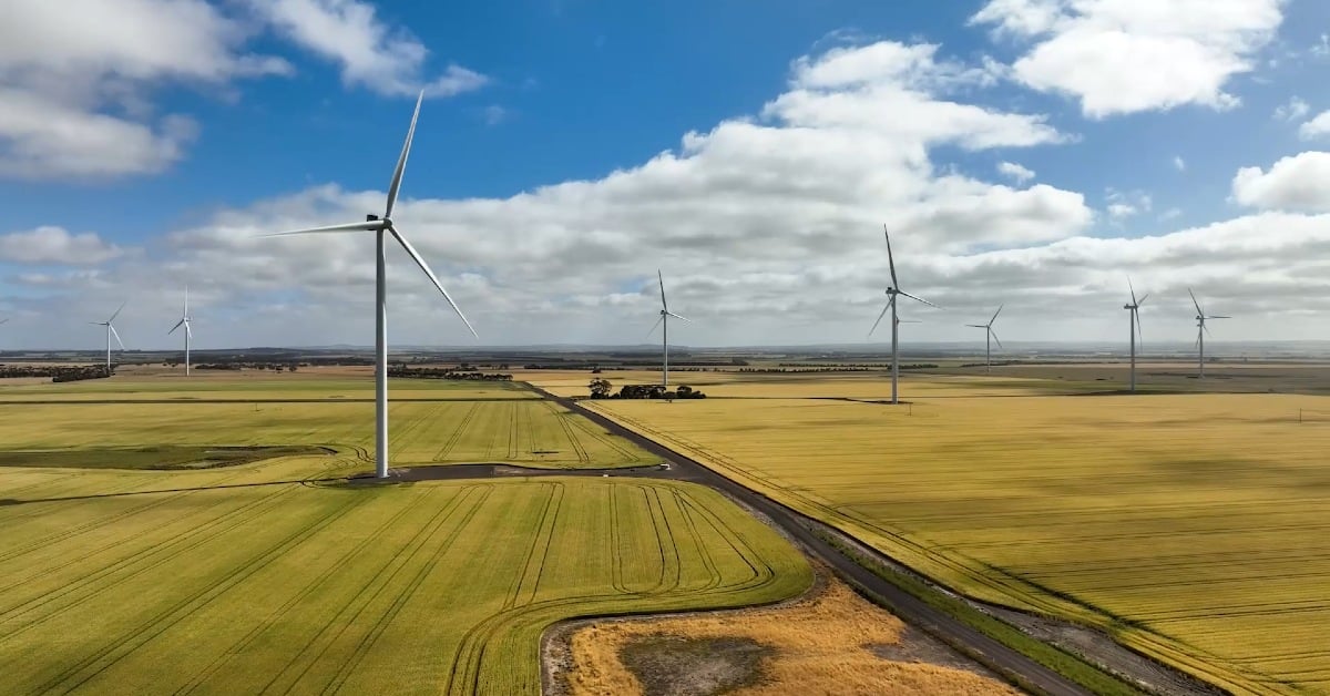 Nature Advisory welcomes guidance on biodiversity and wind energy in Victoria.