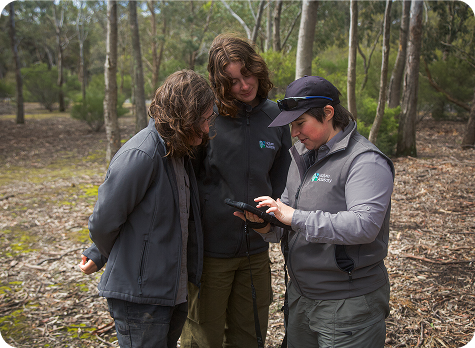 Specialists from Nature Advisory crowded around a tablet in the bush