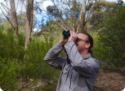 Ecological consultant using binoculars in a forest