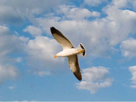 Technical challenges