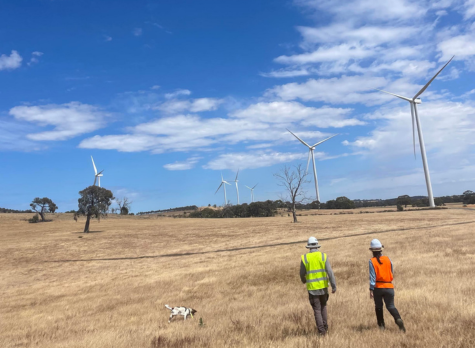 technicians-walking-onshore-wind-farm-1