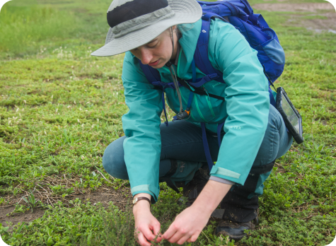 Nature Advisory specialist working in the field field