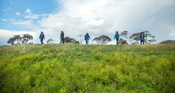 Biodiversity monitoring and management