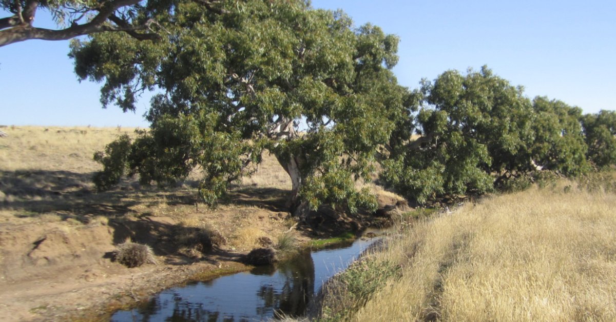 Golden Plains Wind Farm