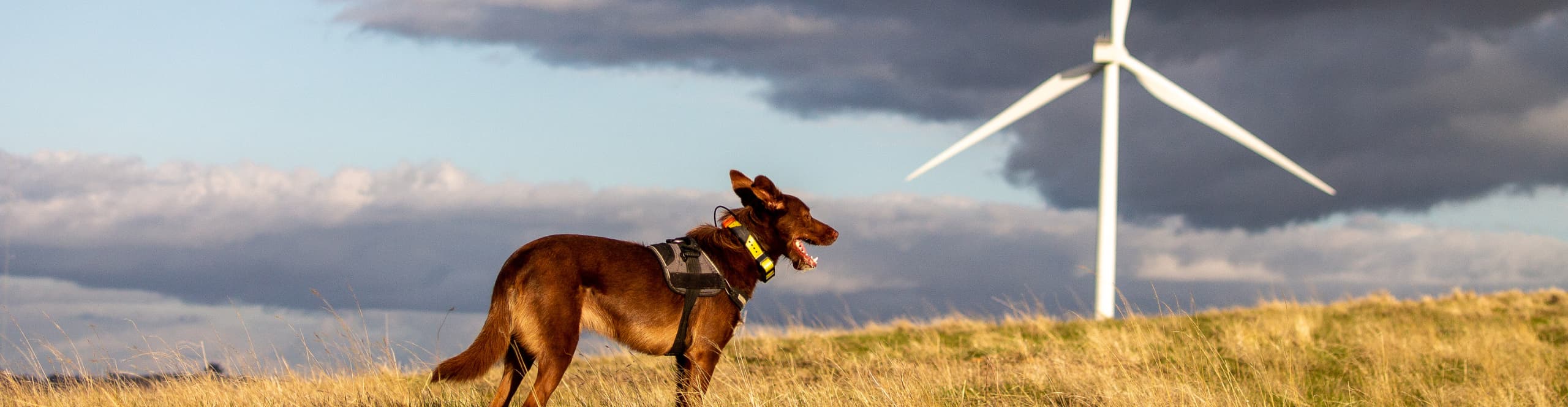 Welcome to Nature Advisory 2