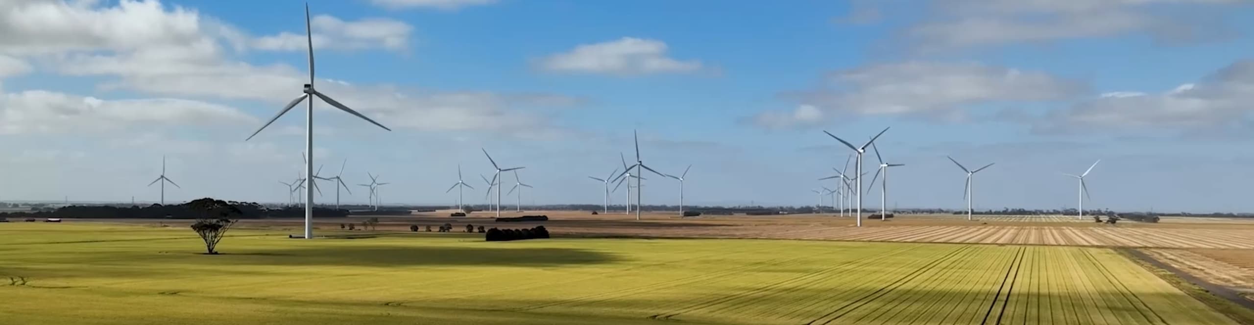 Welcome to Nature Advisory