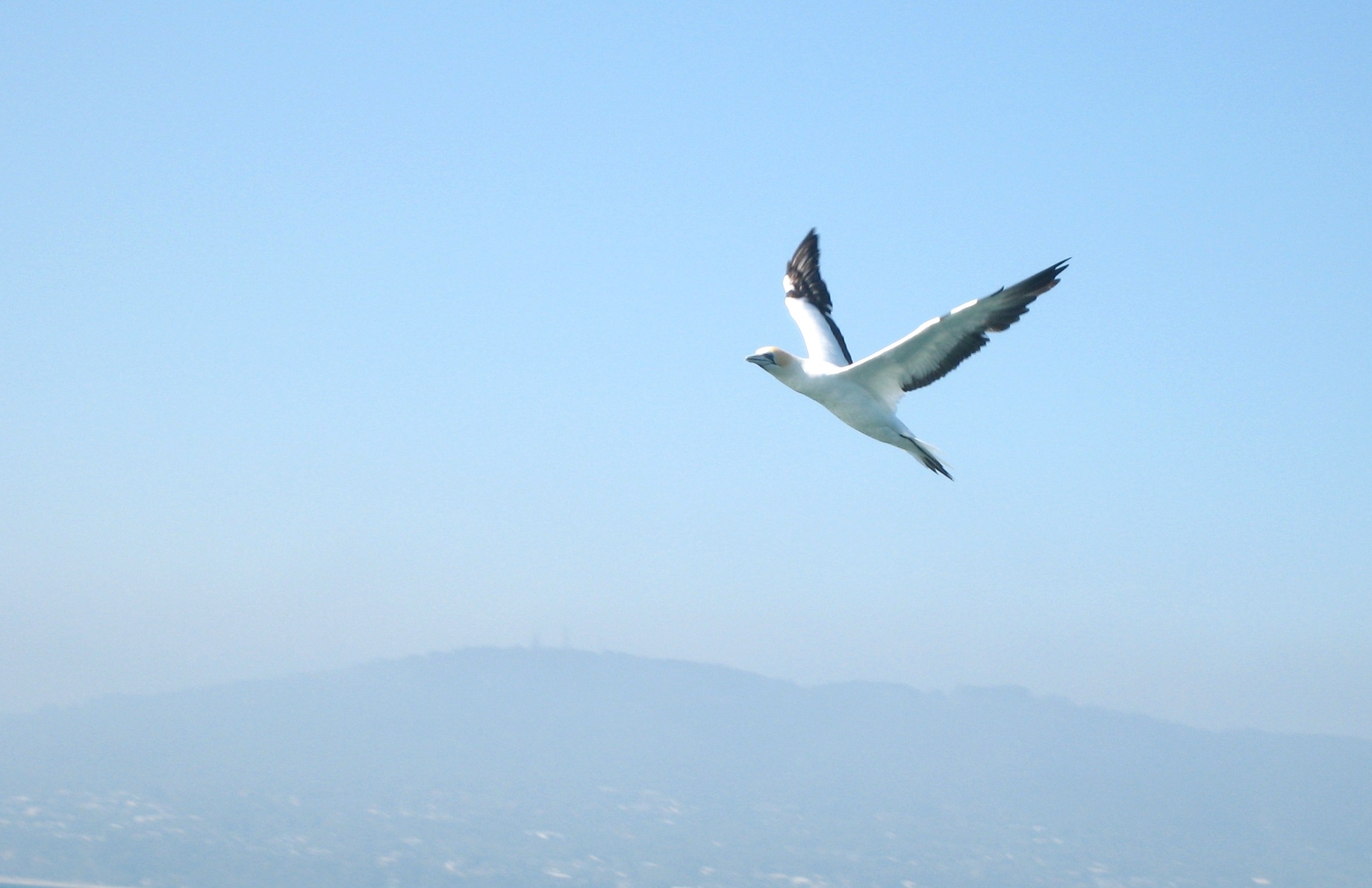 Casey Green: 96-166 Centre Road