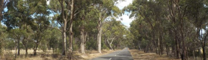 Nature Advisory Case Study Clyde North Bushfire Hazard Management Plan
