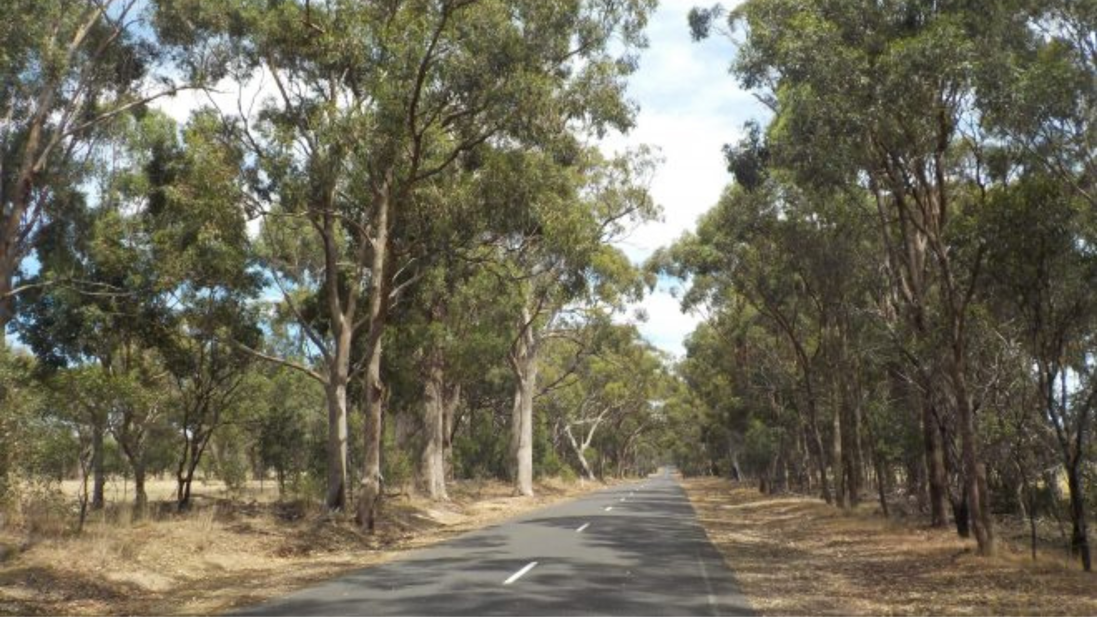 Nature Advisory Case Study Clyde North Bush Fire Management Plan