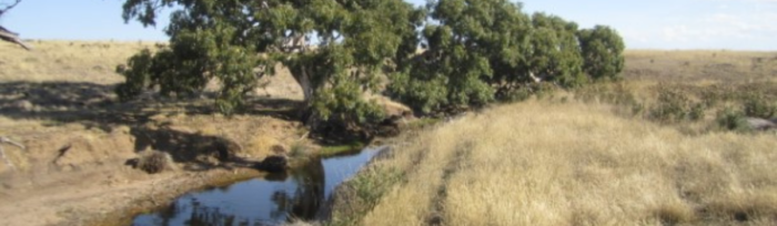 Nature Advisory - Case Study - Golden Plains Wind Farm