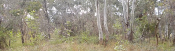 Nature Advisory - Case Study - North East Link Project