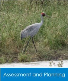 Nature Advisory provides ecological consulting services to the Wind Energy Sector with Assessment and Planning