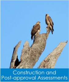 Nature Advisory provides ecological consulting services to the Wind Energy Sector with Construction and Post-Approval Assessments
