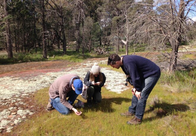 Nature Advisory Ecological Consultants Conducting a Biodiversity Assessment