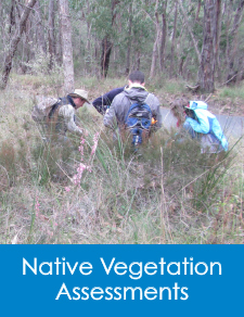 Nature Advisory provides ecological consulting services including Native Vegetation Assessments