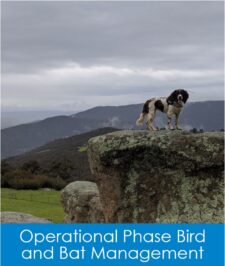 Nature Advisory provides ecological consulting services to the Wind Energy Sector with Operational Phase Bird and Bat Management