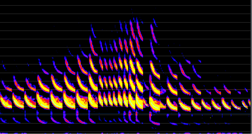 Call example_V.pumilus_Rani Davis PhD Bat R32 Release_f7 compressed