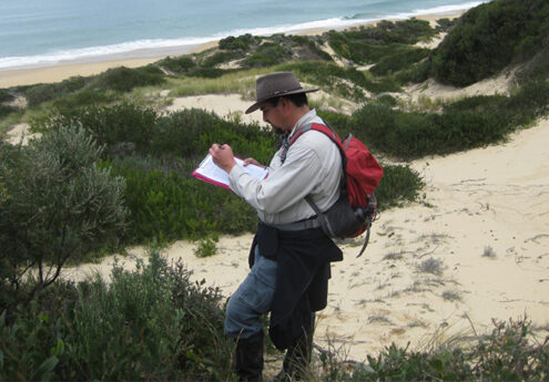 Native Vegetation Assessments