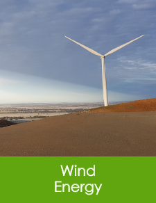 Nature Advisory provides ecological consulting services to the Wind Energy Sector