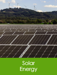 Nature Advisory provides ecological consulting services to the Solar Energy Sector