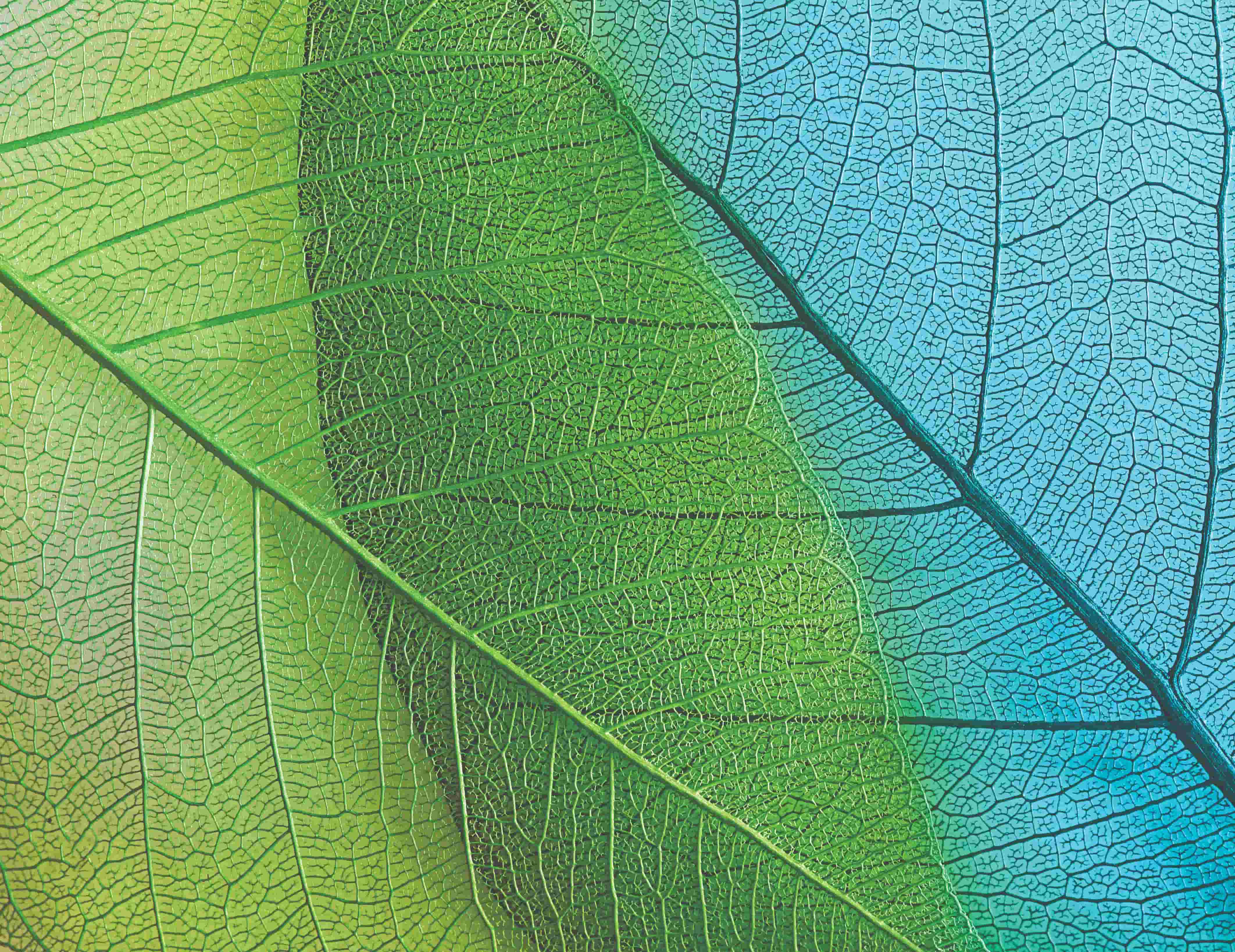 call to action image